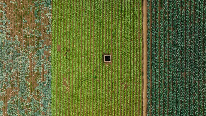 汽车轮胎与电瓶组合采购：提升维修厂维保效率的选型建议
